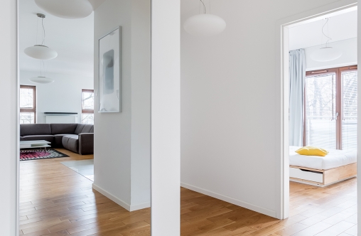 Hall in modern apartment with big mirror and passage to the rooms